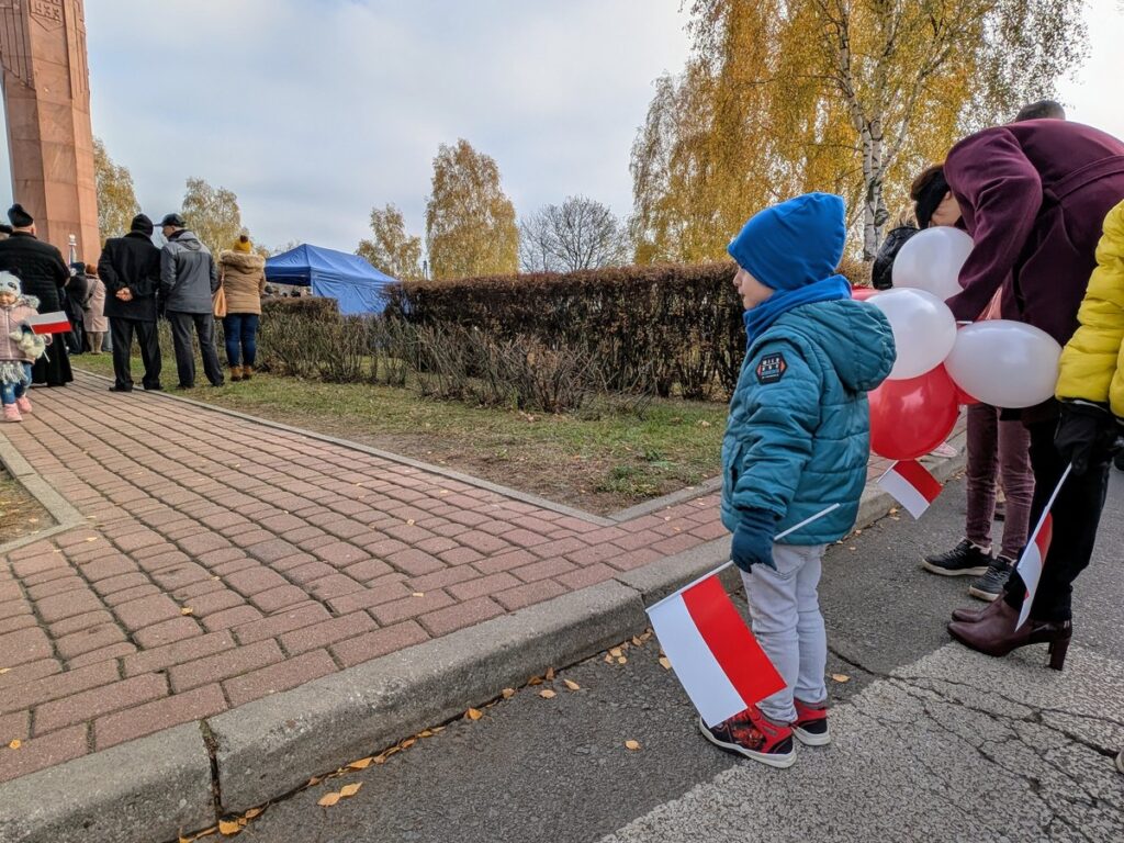 Dziecko trzymające w dłoni biało-czerwoną flagę. 