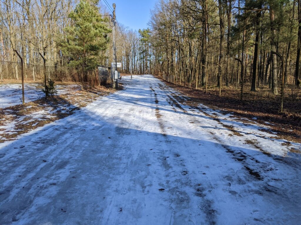 Trasa narciarska w lesie pokryta niewielkim śniegiem