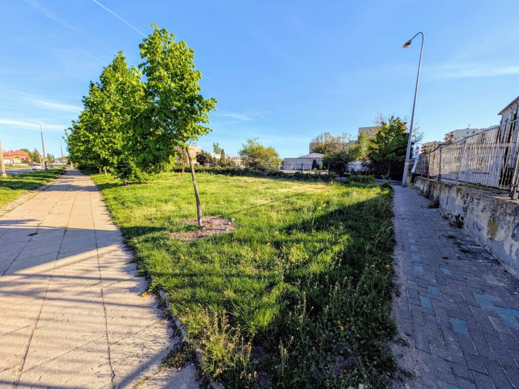 Zieleniec usytuowany między ścieżkami. 