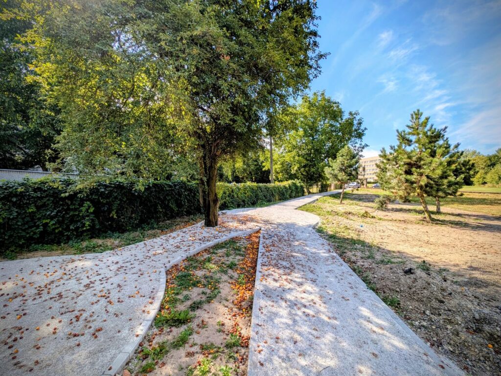 Zieleniec ze ścieżkami i drzewem pośrodku z którego spadają owoce. 