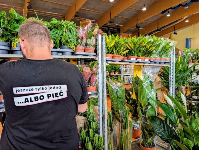Mężczyzna stojący przed półkami z roślinami w koszulce z napisem „jeszcze tylko jedna... ...ALBO PIĘĆ”