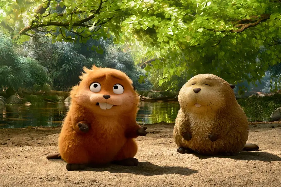 Dwa bobry stoją obok siebie w lesie, otoczone drzewami i naturalnym środowiskiem.