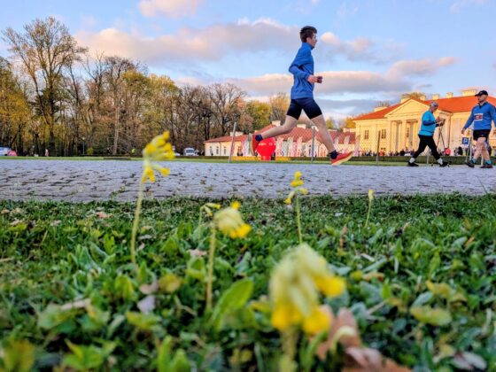 Mężczyzna biegnący w okolicy teren&oacute;w zielonych