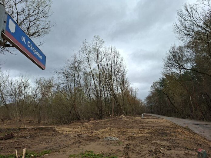 Nieutwardzona droga z wyciętymi krzewami przygotowana do budowy.