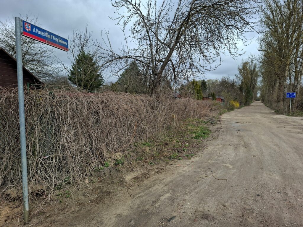 Ulica z nieutwardzoną nawierzchnią i drzewami po bokach.
