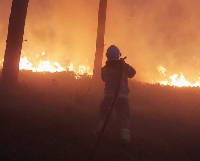 Strażak walczący z ogromnym pożarem lasu
