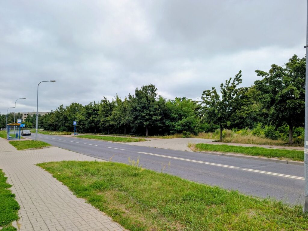 Asfaltowa ulica z chodnikiem, przystankiem autobusowym i szpalerem drzew pod pochmurnym niebem