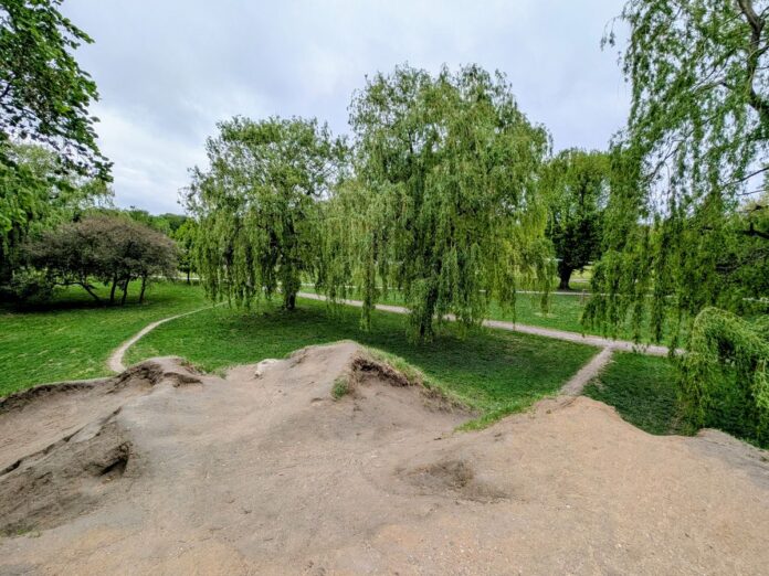 Widok z piaszczystego pagórka na zielony park z płaczącymi wierzbami i alejkami