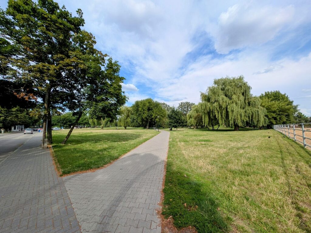 Teren parkowy w Siedlcach z alejką spacerową, trawnikiem i drzewami